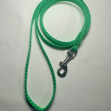 Puppy/Small Dog Light Green 1.2m x 10mm Lead image 0