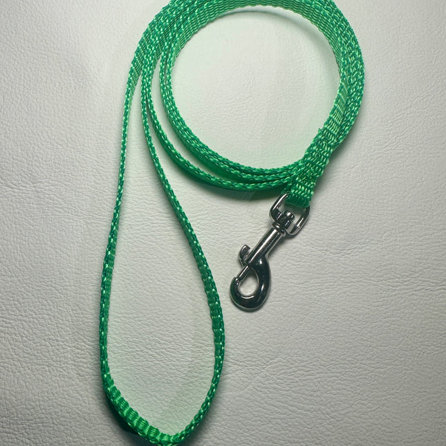 Puppy/Small Dog Light Green 1.2m x 10mm Lead image 0