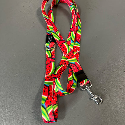Adult Dog Fancy Watermelon 1.5m x 25mm Lead  image 1