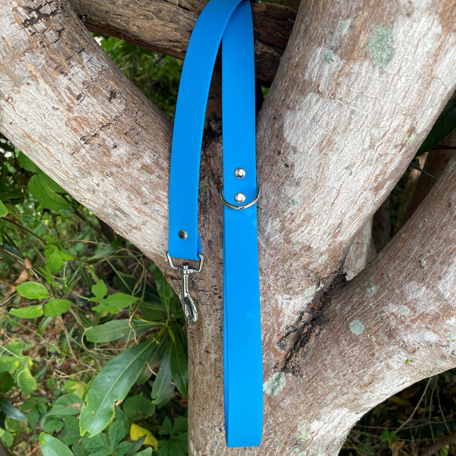 Biothane Sky Blue Lead 1.5M image 0