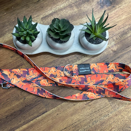 Adult Dog Fancy Autumn 1.5m x 25mm Lead  image 1