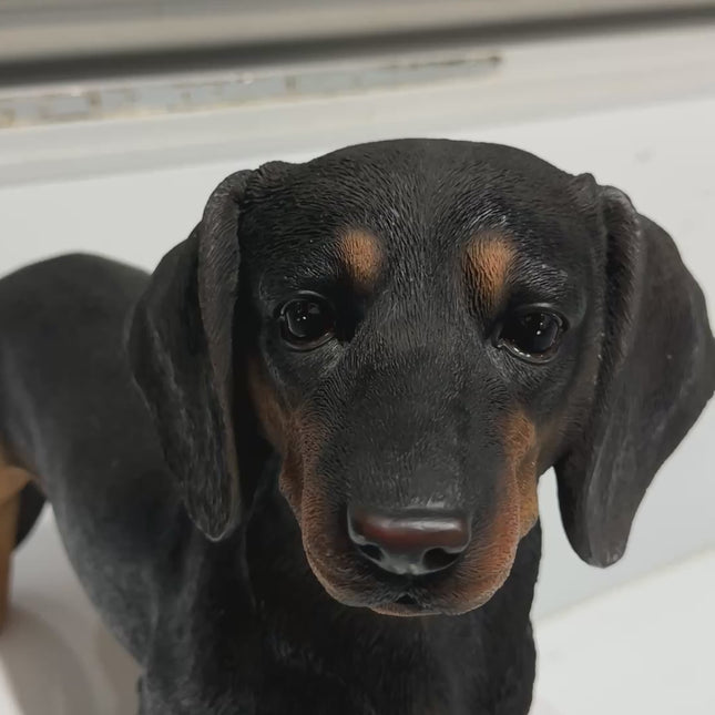 Nose Black - Neck Black - Size 3 Dog101 Halter